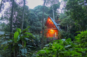 Forestvalley Wood House Coorg